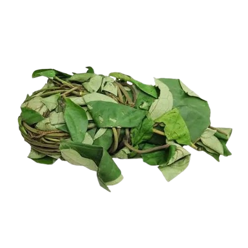 Uziza Leaf