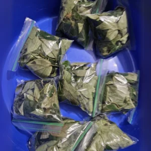 Fresh Uziza Leaf