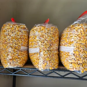 Yellow Dried Corn