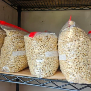 White Dried Corn