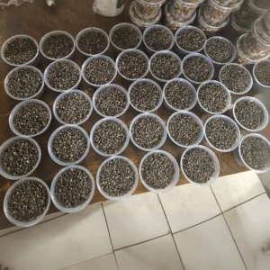 Uziza – West African Black Pepper (per cup)