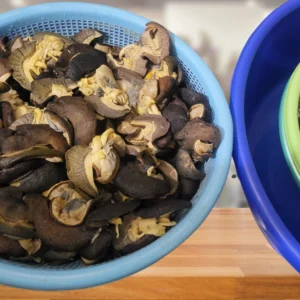 Fresh Jumbo Snail – 5 Pieces